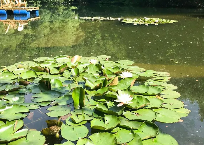 Holiday home Old Surrounded By Nature In Sidobre *